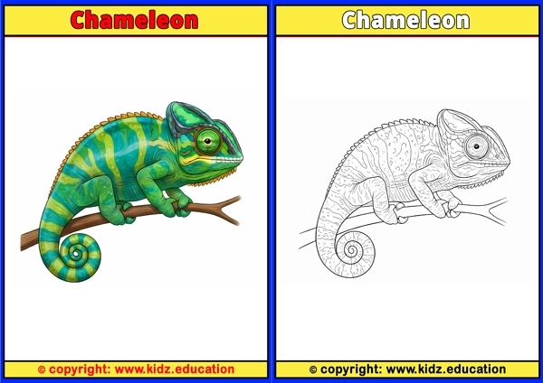 Chameleon - Printable Coloring Page for Kids