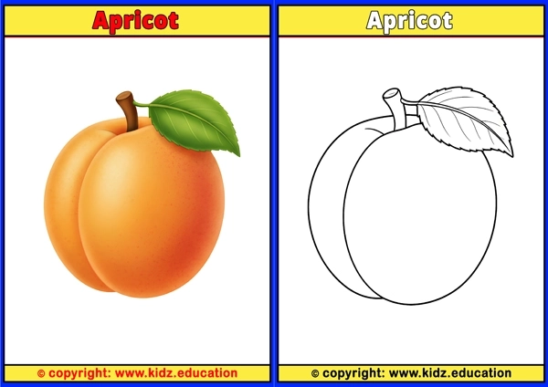 Apple - Printable Coloring Page for Kids
