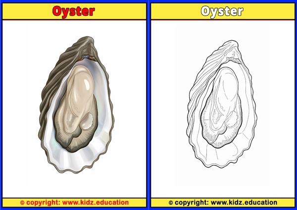 Oyster - Printable Coloring Page for Kids