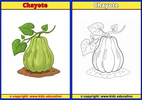 Chayote - Printable Coloring Page for Kids