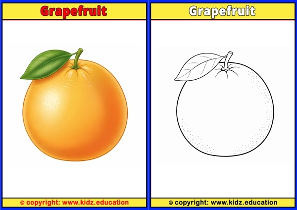 Grapefruit - Printable Coloring Page for Kids