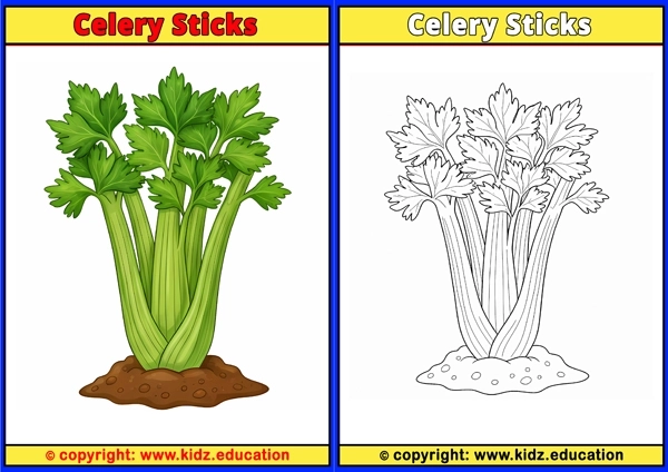 Celery Sticks - Printable Coloring Page for Kids