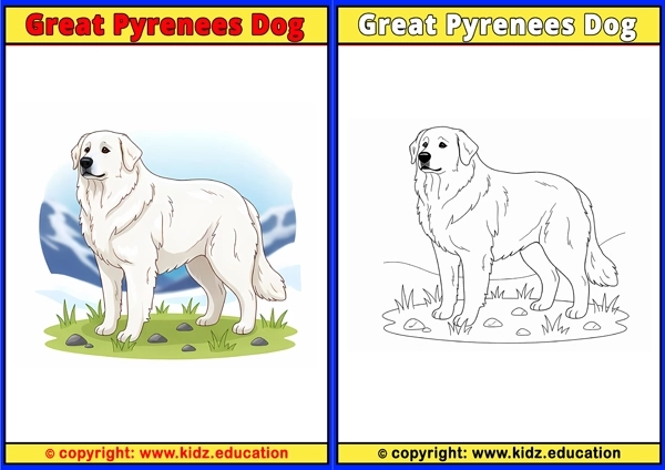 Great Pyrenees Dog - Printable Coloring Page for Kids