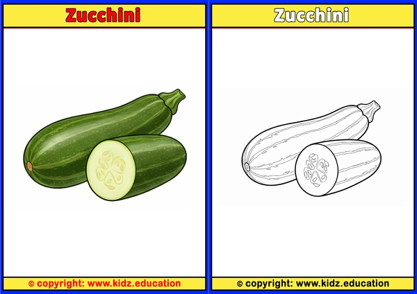 Zucchini - Printable Coloring Page for Kids