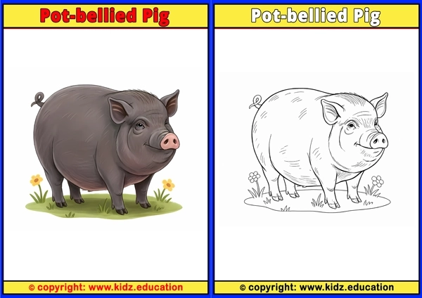 Pot-bellied Pig - Printable Coloring Page for Kids
