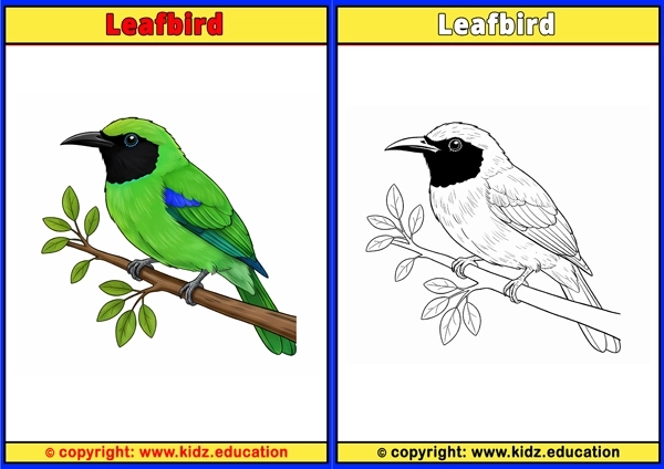 Leghorn Chicken - Printable Coloring Page for Kids