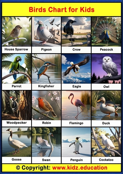Birds Chart - 1 | Printable Educational Chart for Kids
