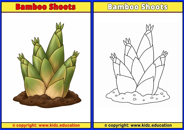 Bamboo Shoots - Printable Coloring Page for Kids