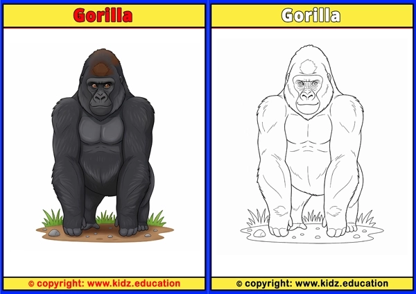 Gorilla - Printable Coloring Page for Kids
