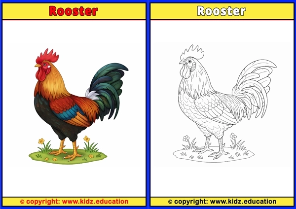 Sandpiper - Printable Coloring Page for Kids