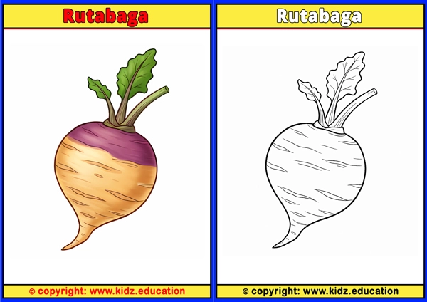 Rutabaga - Printable Coloring Page for Kids
