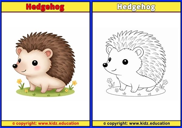 Hedgehog - Printable Coloring Page for Kids
