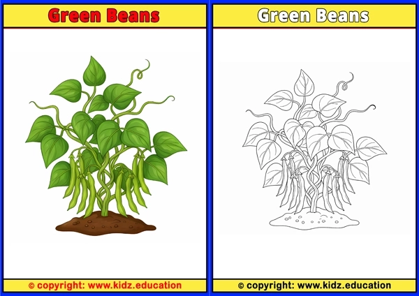 Green Beans - Printable Coloring Page for Kids