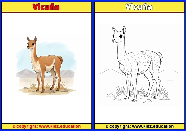 Vicu?a - Printable Coloring Page for Kids