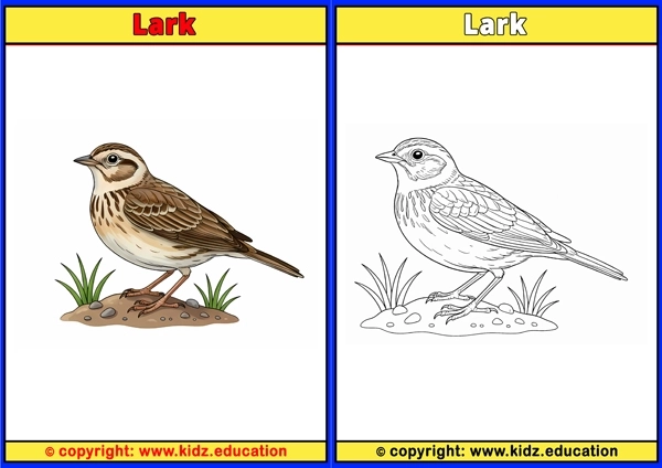 Lavender Guinea Fowl - Printable Coloring Page for Kids