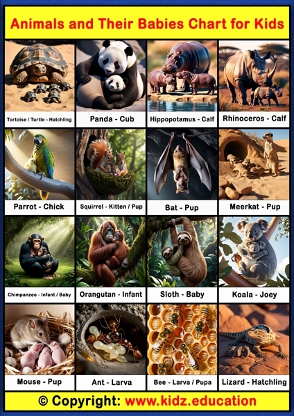 Animals and Babies Chart - 3 | Printable Educational Chart for Kids