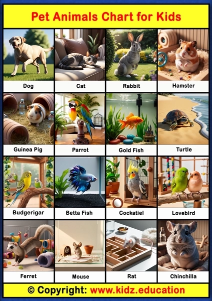 Pet Animals Chart - 1 | Printable Educational Chart for Kids