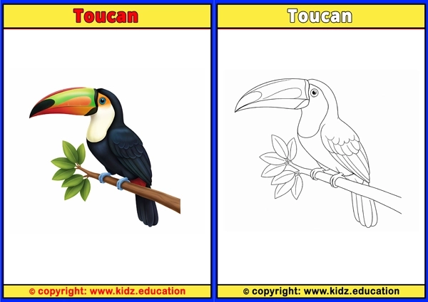 Toulouse Goose - Printable Coloring Page for Kids