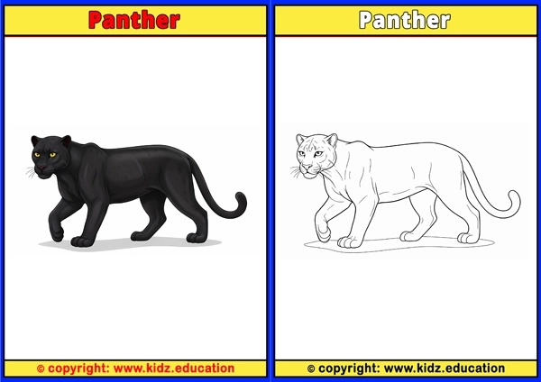 Panther - Printable Coloring Page for Kids