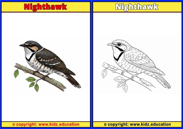 Nightingale - Printable Coloring Page for Kids
