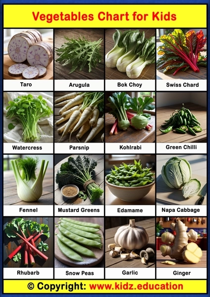 Vegetables Chart - 3 | Printable Educational Chart for Kids