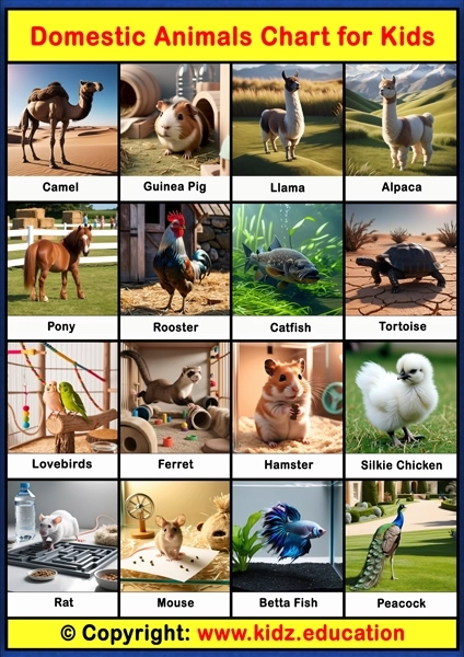 Domestic Animals Chart - 2 | Printable Educational Chart for Kids