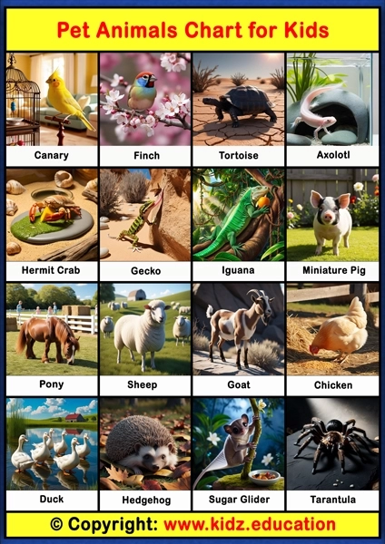 Pet Animals Chart - 2 | Printable Educational Chart for Kids