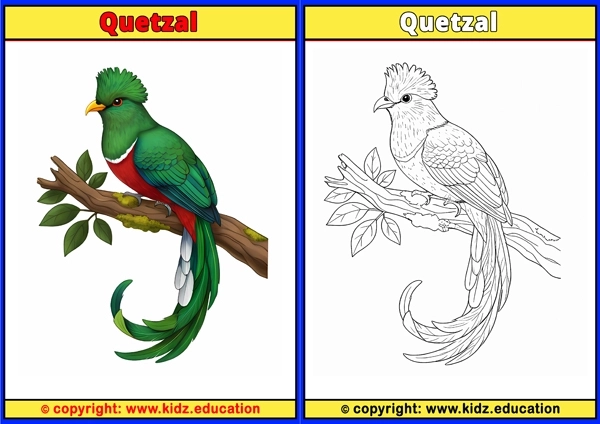 Racing Pigeon - Printable Coloring Page for Kids