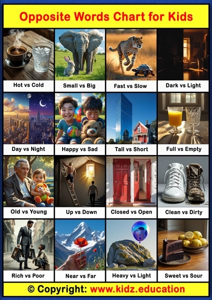 Opposite Words Chart – 1 | Printable Educational Chart for Kids