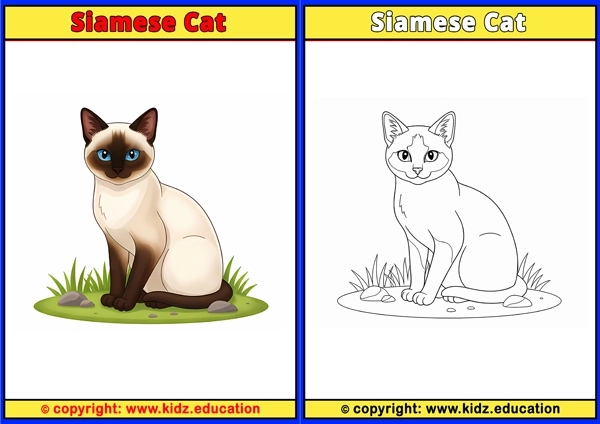 Siamese Cat - Printable Coloring Page for Kids