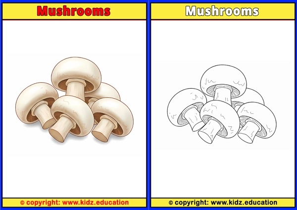 Mushrooms - Printable Coloring Page for Kids