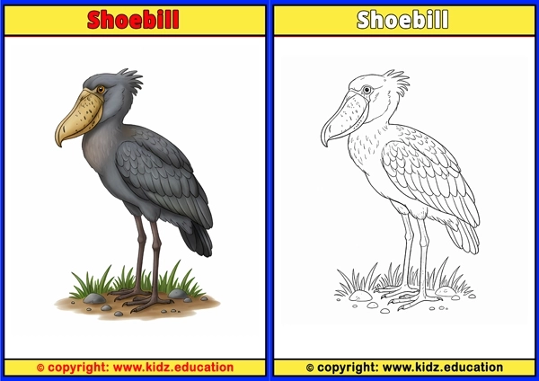 Siberian Crane - Printable Coloring Page for Kids