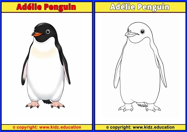 Ad?lie Penguin - Printable Coloring Page for Kids