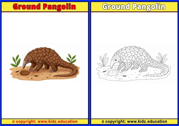 Ground Pangolin - Printable Coloring Page for Kids