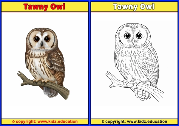 Thrush - Printable Coloring Page for Kids