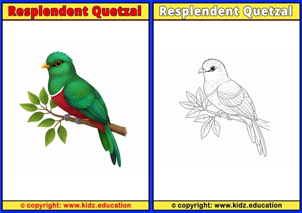 Rhea - Printable Coloring Page for Kids