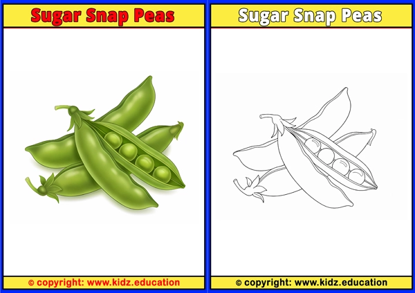 Sugar Snap Peas - Printable Coloring Page for Kids