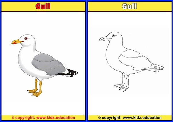 Gyrfalcon - Printable Coloring Page for Kids