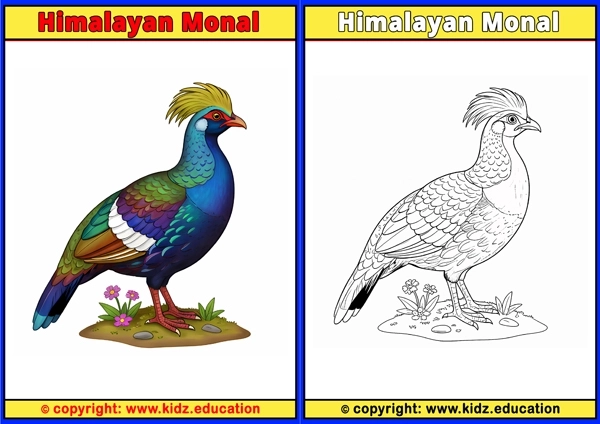 Hooded Crow - Printable Coloring Page for Kids