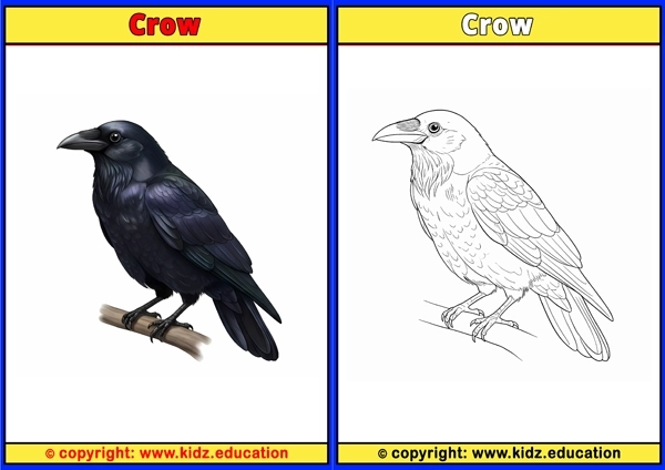Crow - Printable Coloring Page for Kids