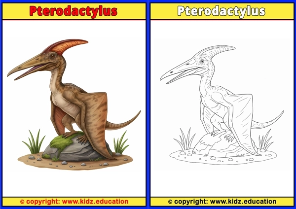 Pterodactylus  - Printable Coloring Page for Kids