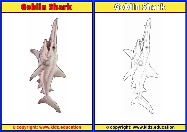 Goblin Shark - Printable Coloring Page for Kids