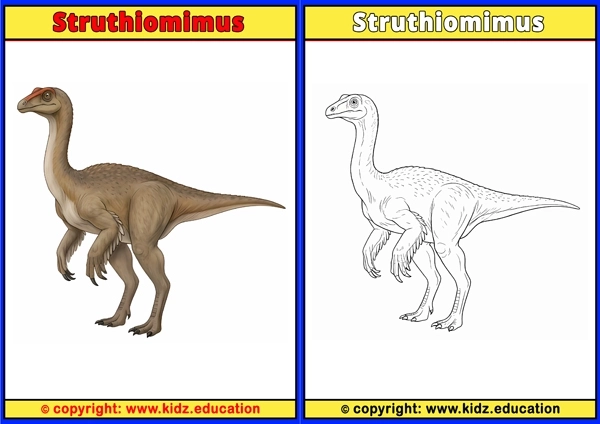 Struthiomimus - Printable Coloring Page for Kids