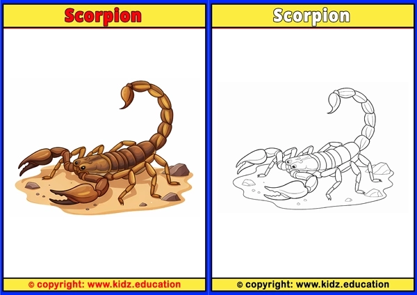 Scorpion - Printable Coloring Page for Kids
