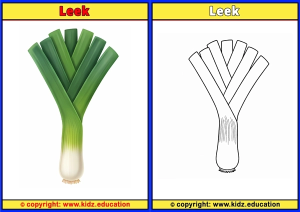 Leek - Printable Coloring Page for Kids