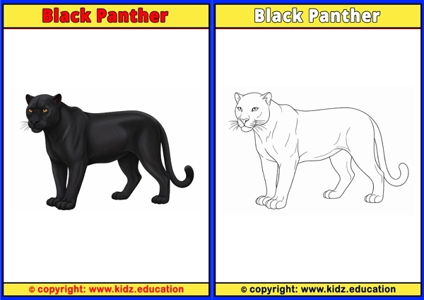 Black Panther - Printable Coloring Page for Kids