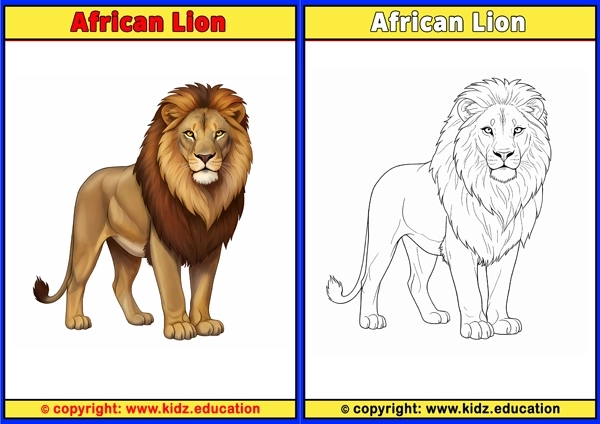 African Lion - Printable Coloring Page for Kids