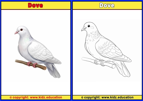 Dove1 - Printable Coloring Page for Kids