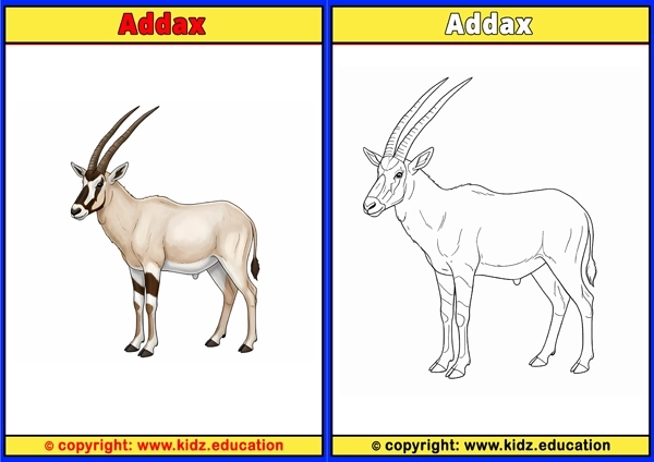 Addax - Printable Coloring Page for Kids