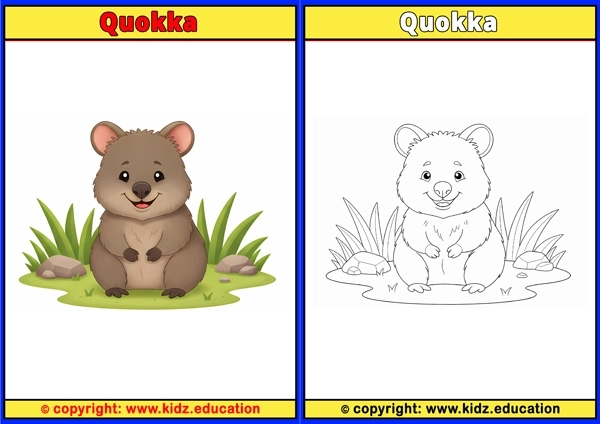 Quokka - Printable Coloring Page for Kids